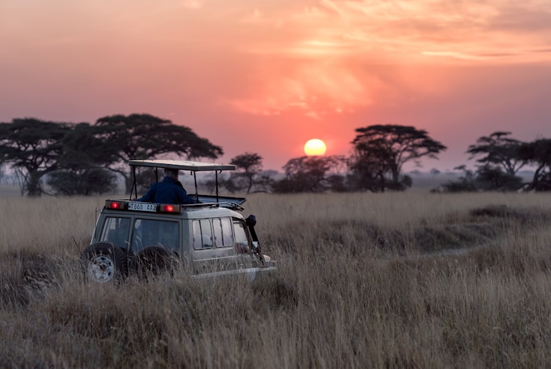 Top Safari Destinations in Africa
